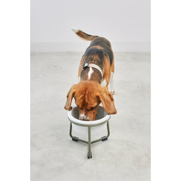 Porcelanasta posoda s podstavkom za pse ø 20 cm Pranzo Grolive M – MiaCara-image-1