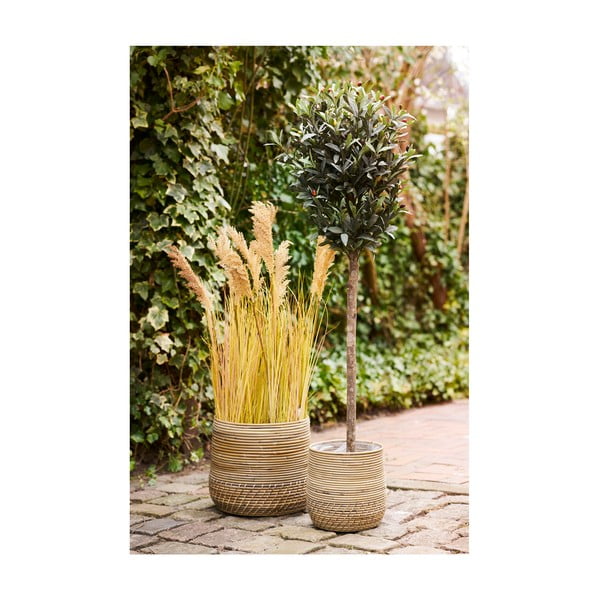 Košare iz ratana v kompletu 2 ks ø 39x35 cm Moro – House Nordic-image-2