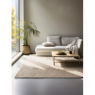 Bež preproga 160x230 cm Handloom – Hanse Home