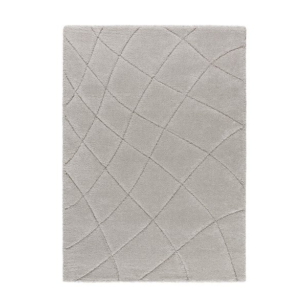 Svetlo siva preproga 60x120 cm Molier – Universal