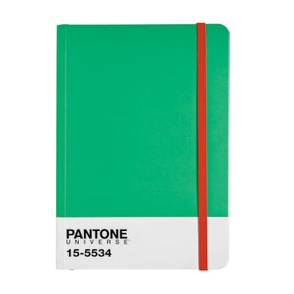 Beležnica A4 z barvnim elastičnim trakom Fern Green/Poppy Red 15-1534