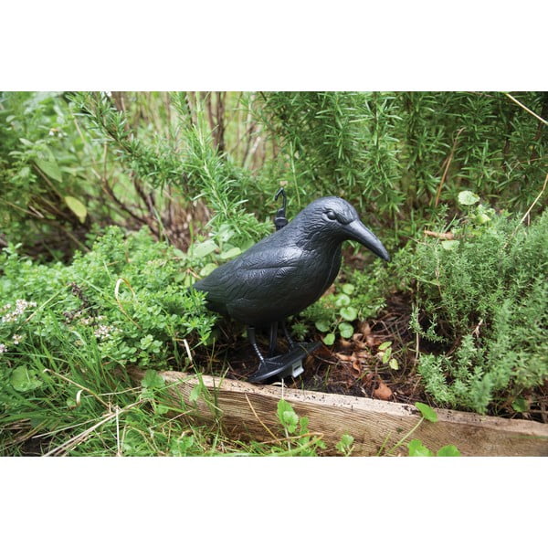 Plastično ptičje strašilo Crow – Esschert Design-image-3