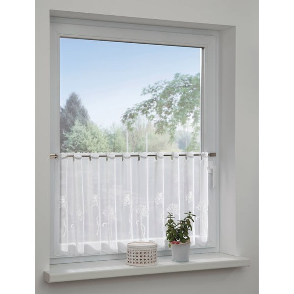 Bela prosojna zavesa iz tančice 140x48 cm Dandelion – Sehlbach-image-1