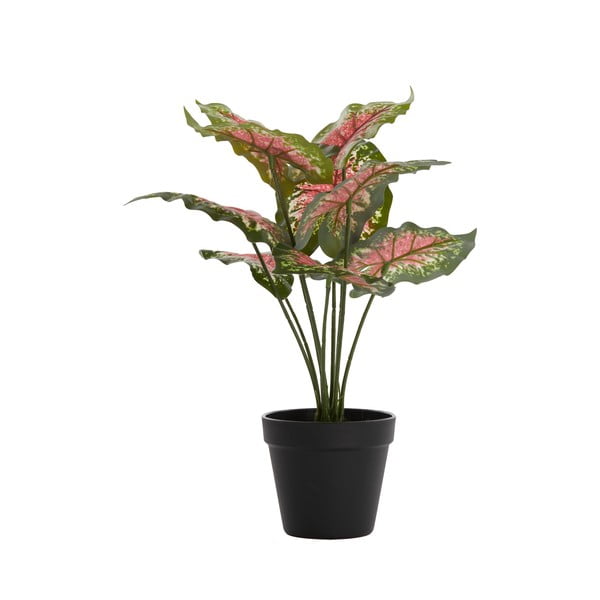 Umetna rastlina (višina 40 cm) Caladium – Light & Living