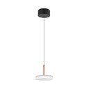 Črno-bela in zlata LED zatemnitvena viseča svetilka s steklenim senčilom ø 22 cm Celeste – Trio