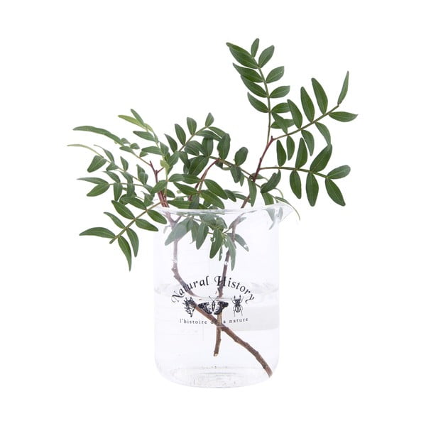 Steklena vaza (višina 12 cm) Natural History – Esschert Design-image-1