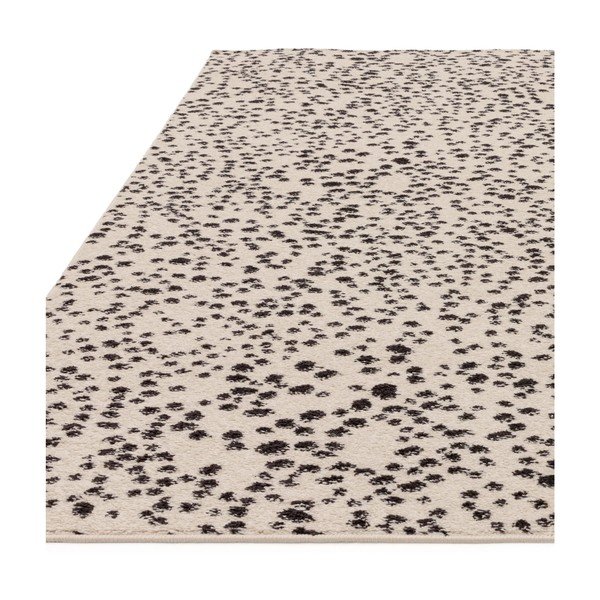 Črna/bela preproga 160x230 cm Muse – Asiatic Carpets-image-4