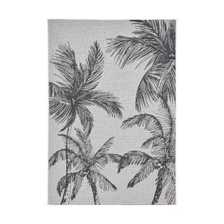 Črna/kremno bela zunanja preproga 160x220 cm Miami – Think Rugs