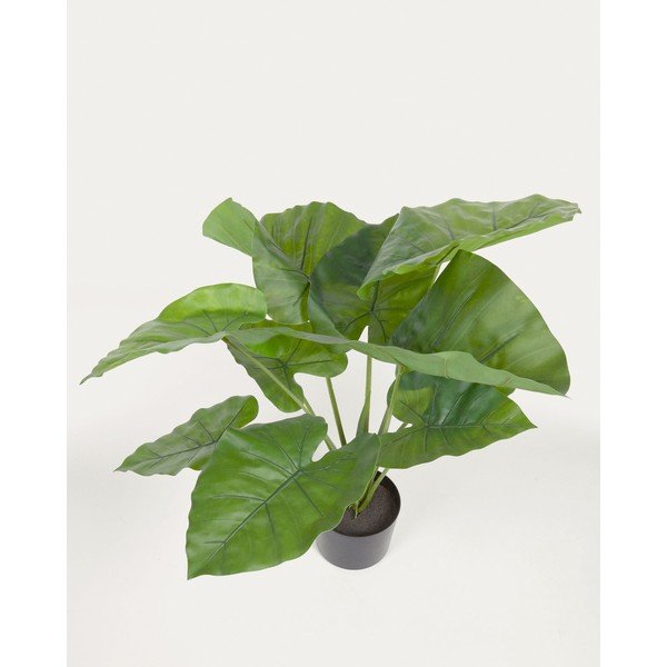 Umetna rastlina (višina 57 cm) Odora – Kave Home-image-3