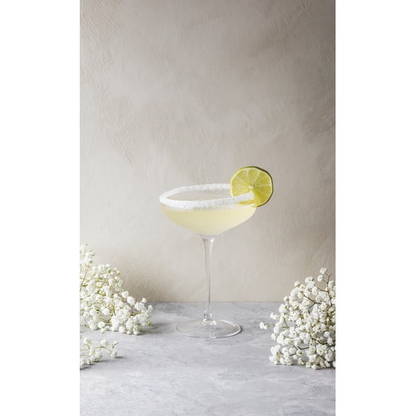 Kozarec za šampanjec Eva Solo Coupe, 200 ml-image-3