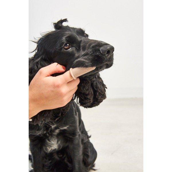 Zobne ščetke za hišne ljubljenčke v kompletu Dito – MiaCara-image-1