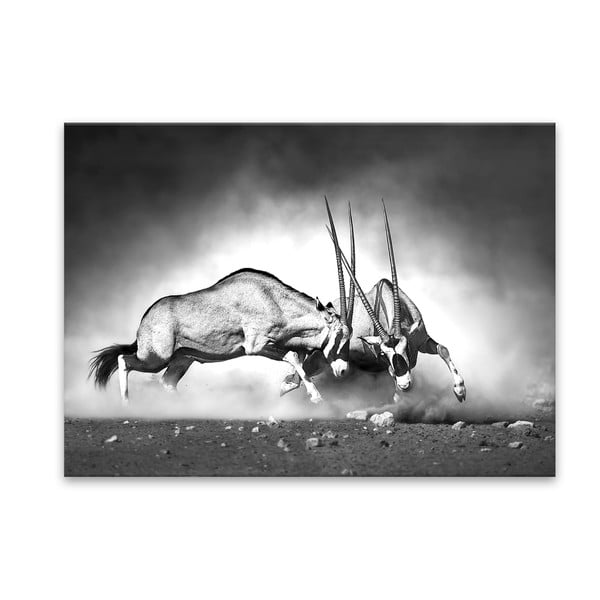 Slika Styler Glas Živali Gazela, 70 x 100 cm