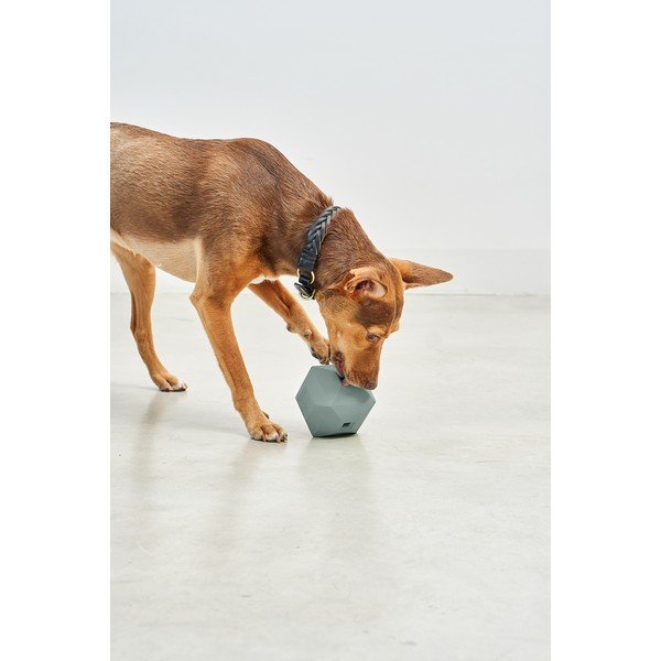 Igrača za pse Dado Eucalyptus – MiaCara-image-1