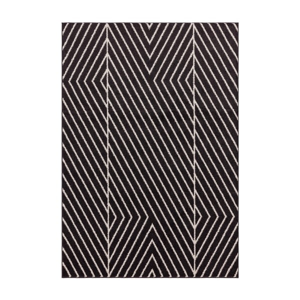 Črna/bela preproga 200x290 cm Muse – Asiatic Carpets
