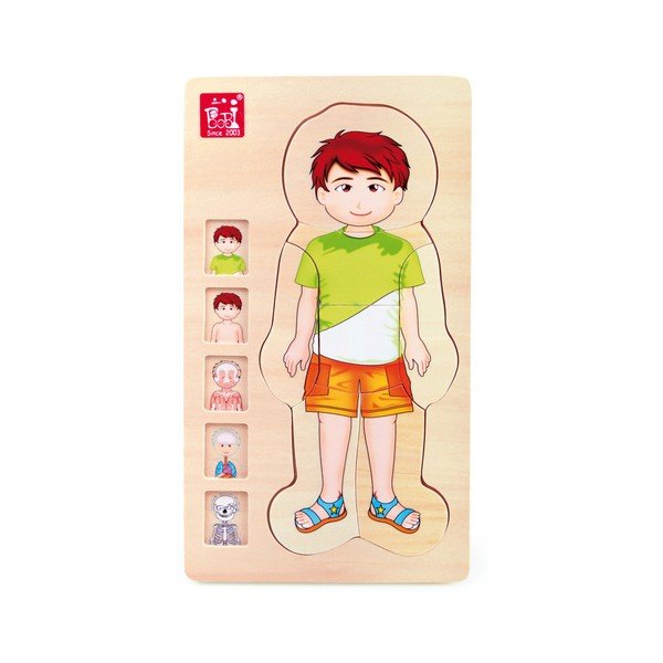 Lesena igrača Legler Anatomy Boy-image-1