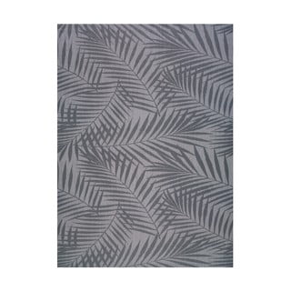 Siva zunanja preproga Universal Palm, 160 x 230 cm