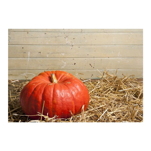 Vinilna podloga Pumpkin, 52 x 75 cm