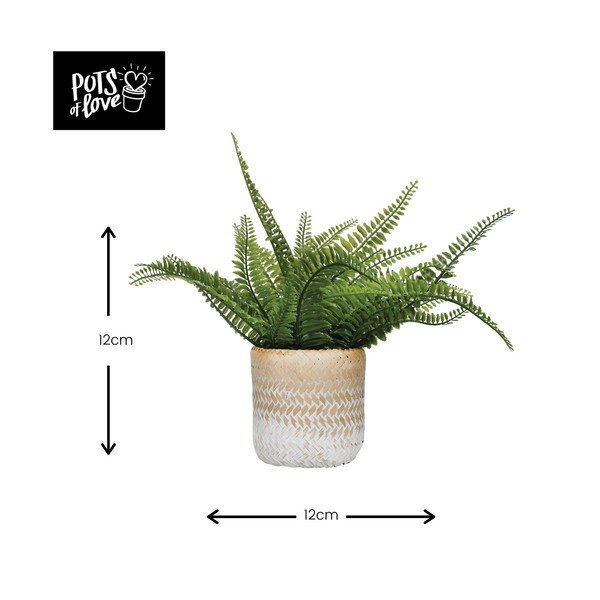 Cvetlični lonec iz morske trave Kitchen Craft Ombré-image-2