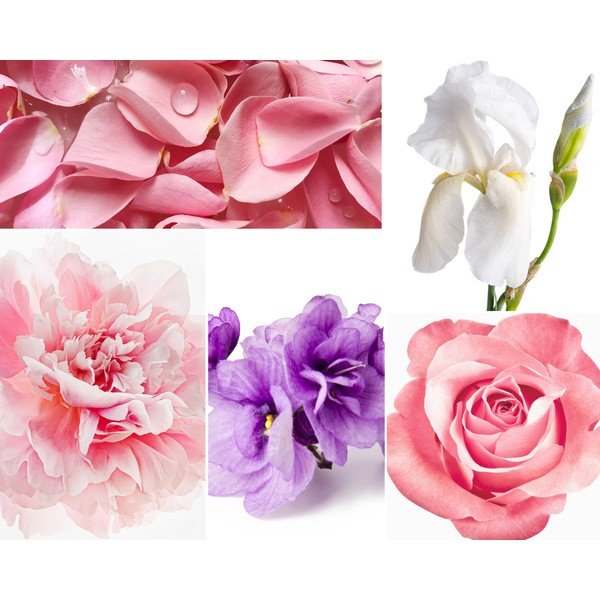 Palični difuzor Privé Home Rose Pivoine, 200 ml-image-1