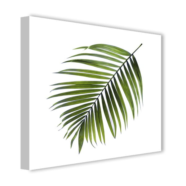 Slika Styler Canvas Greenery Black Palm, 32 x 32 cm-image-2