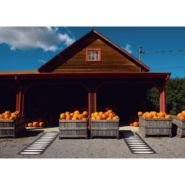 Črn zunanji in notranji tekač 70x150 cm Ella Black – Pappelina-image-3