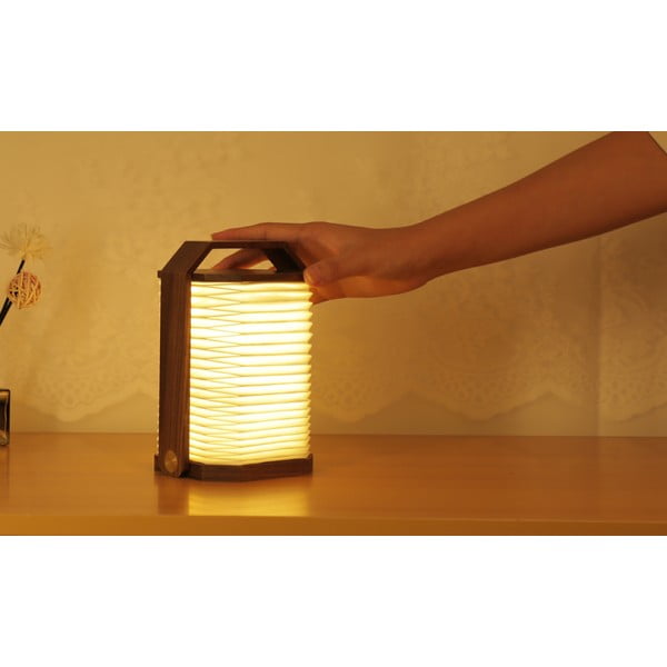 Bela/v temni naravni barvi svetlobna dekoracija na USB Origami – Gingko-image-2