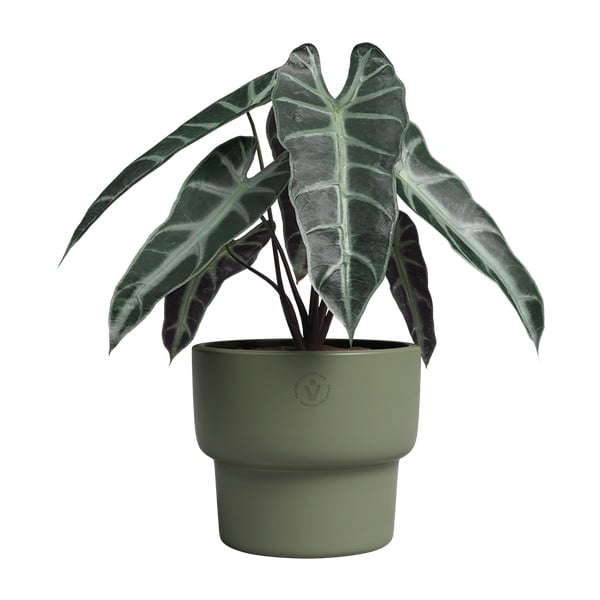 Keramičen ročno poslikan cvetlični lonec ø 17 cm Echo – Artevasi-image-2