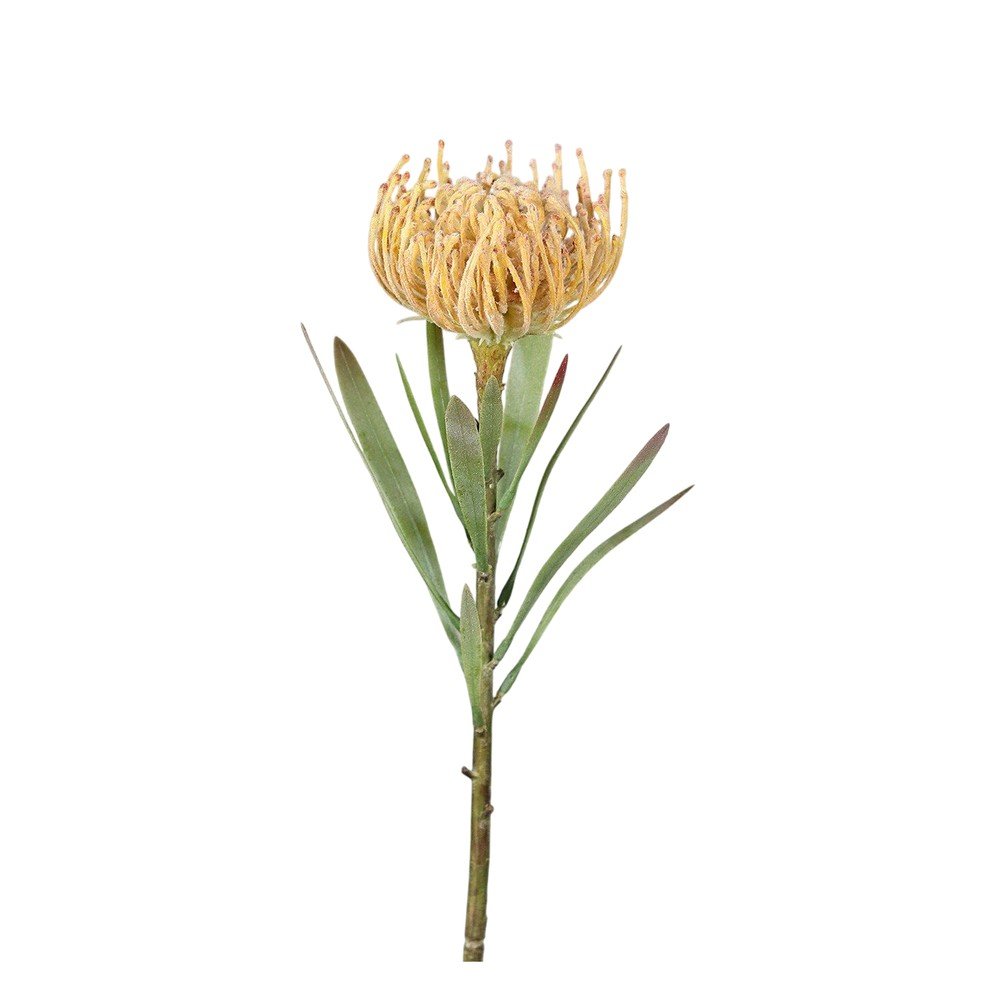 Umetna rastlina (višina) Protea