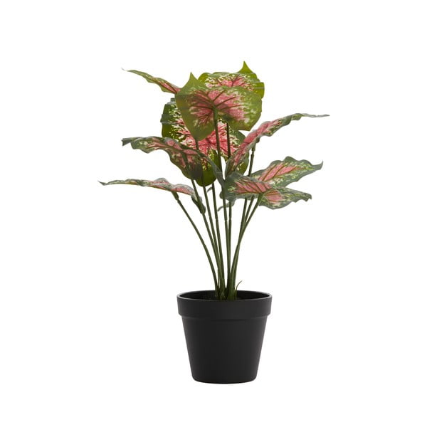 Umetna rastlina (višina 40 cm) Caladium – Light & Living-image-1