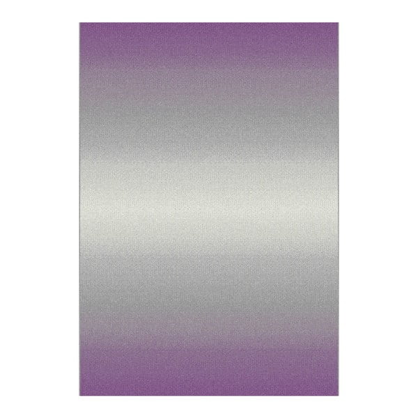 Siva in vijolična preproga Universal Boras, 67 x 250 cm