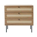 Nizka komoda v hrastovem dekorju 80x75 cm Pensacola – Unique Furniture