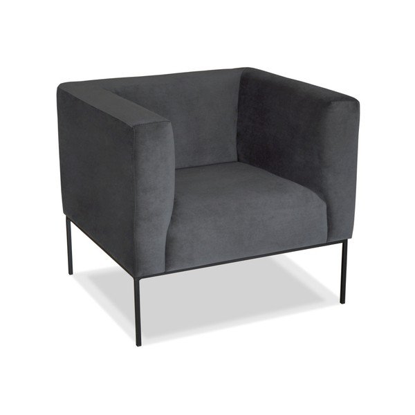 Sivi fotelj Windsor & Co. Zofe Neptune-image-3