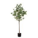 Umetna rastlina Eucalyptus – Casa Selección