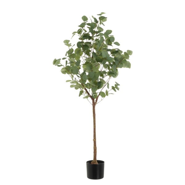 Umetna rastlina Eucalyptus – Casa Selección