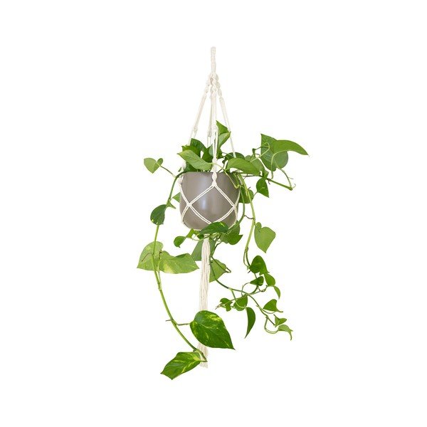 Tekstilna vrv za obešanje cvetličnih loncev ø 13 cm (višina 100 cm) Macramé – Artevasi
