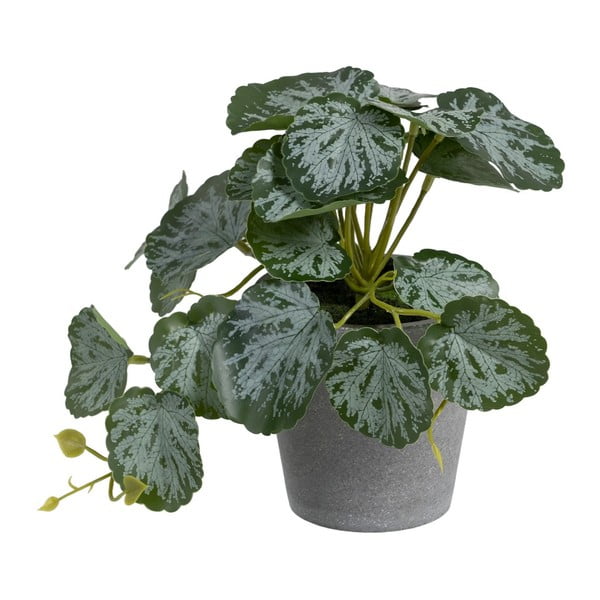 Umetna rastlina (višina 21,5 cm) Saxifraga – Ixia