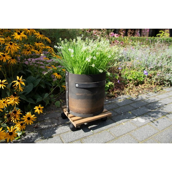 Lesen mobilni podstavek za cvetlične lonce (višina 8 cm) Indoor & Outdoor – Esschert Design-image-1