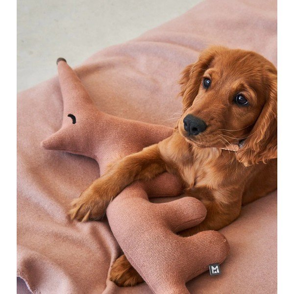 Igrača za pse Bosco Rabbit – MiaCara-image-3