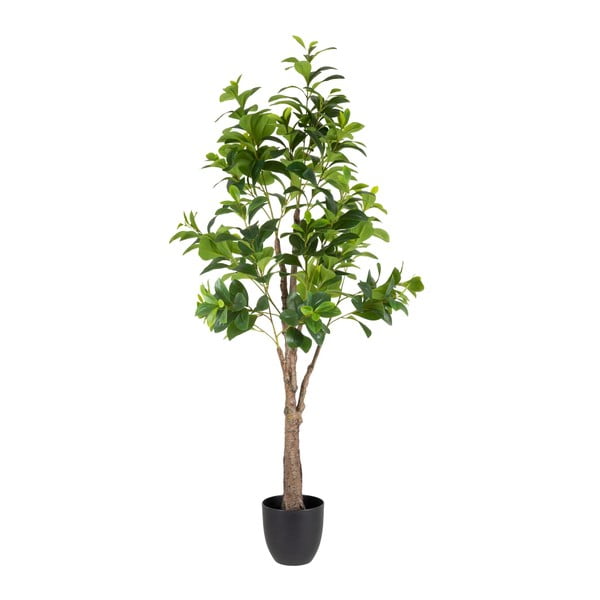 Umetna rastlina (višina 145 cm) Peperomia – Ixia