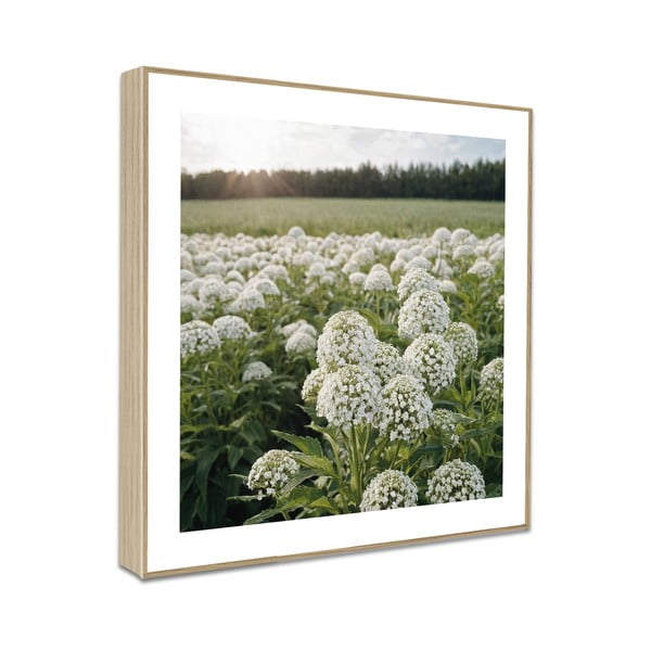 Slike v kompletu 4 ks 30x30 cm Sunrise Hike-image-4