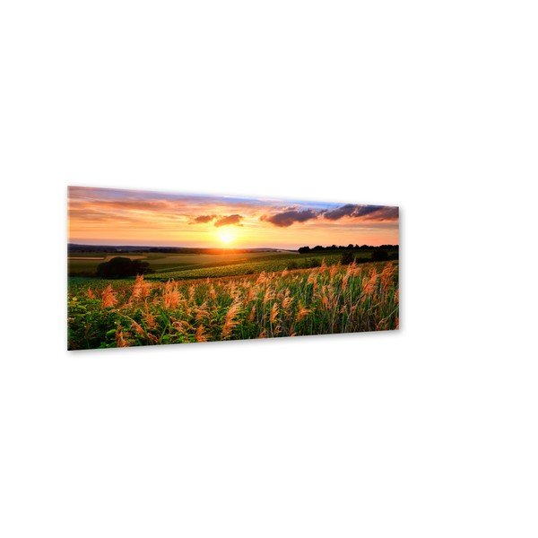 Slika Styler Glas Sunset Meadow, 50 x 125 cm-image-1
