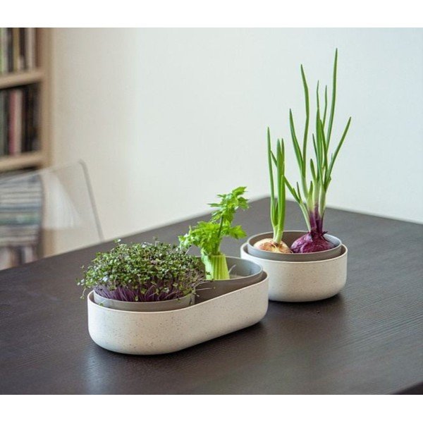 Plastična posoda za kaljenje Microgreens + Regrow – Plastia-image-1