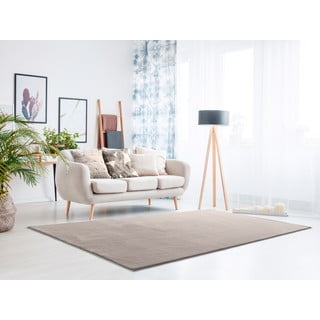 Svetlo siva preproga 200x290 cm Loft - Universal