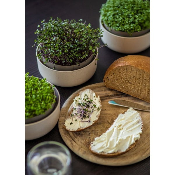 Plastična posoda za kaljenje Microgreens + Regrow – Plastia-image-3
