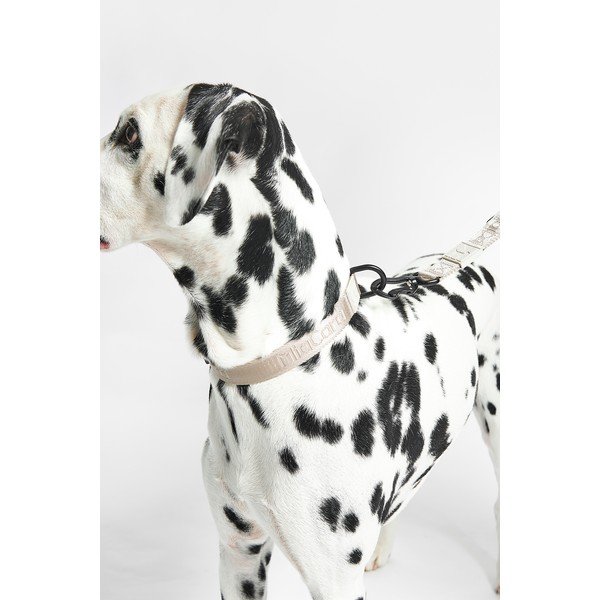 Bež ovratnica velikosti M/L dolžina 35 cm Modena Greige M/ML – MiaCara-image-1