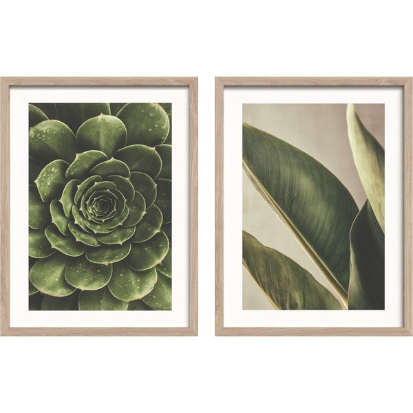 Tiskane slike v kompletu 2 ks z okvirjem 30x40 cm Beauty Green – Styler