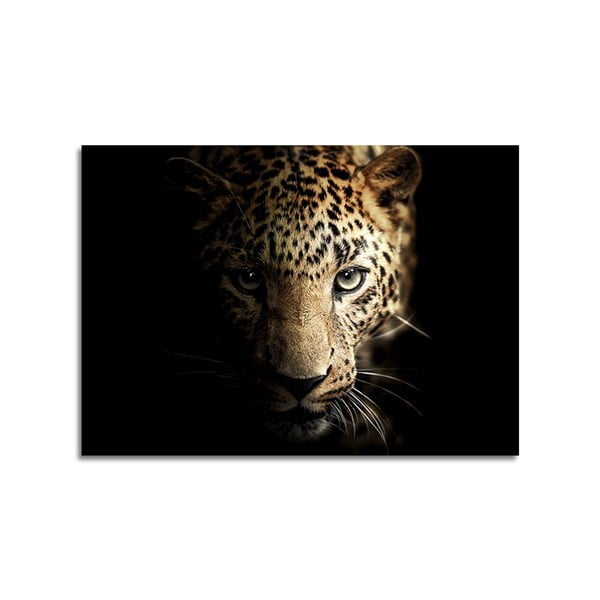 Steklena slika Styler Leopard, 70 x 100 cm