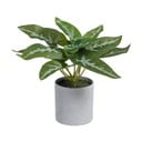 Umetna rastlina (višina 21 cm) Syngonium – Ixia