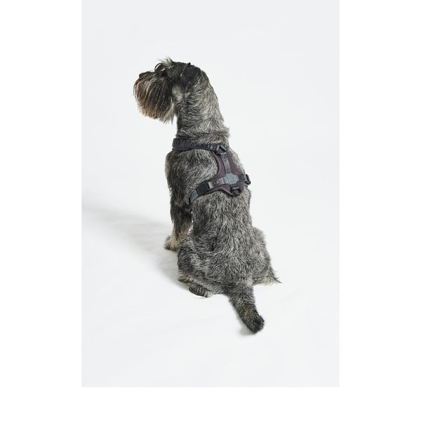 Temno siva oprsnica velikosti S dolžina 30 cm Modena Asphalt S – MiaCara-image-2