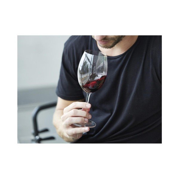 Komplet 2 kozarcev za rdeče vino iz kristalnega stekla Bitz Fluidum, 580 ml-image-4